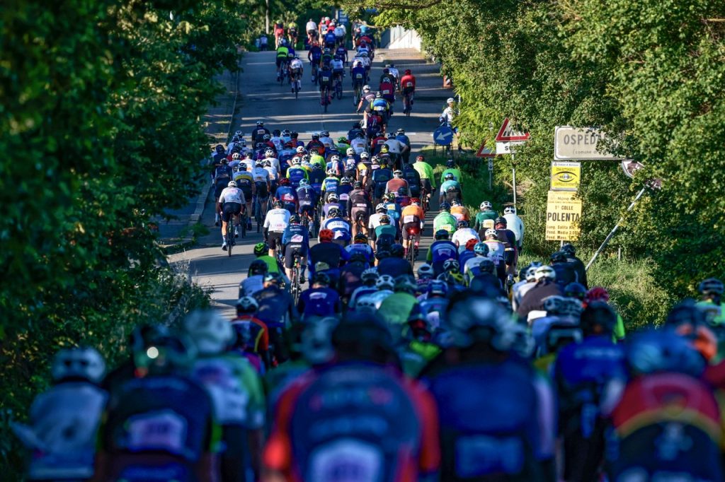 Gruppo compatto di ciclisti in salita tra gli alberi nell'entroterra romagnolo