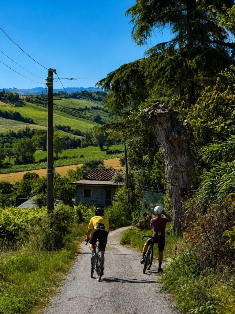 Two cyclists pedaling on a secondary dirt road immersed in the green Romagna hills with cultivated fields in the background
